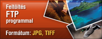 FTP varázsló